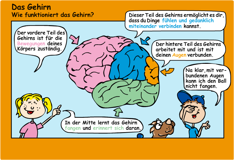 Die Comicfiguren Katja und Max erklären, wofür die verschiedenen Bereiche im Gehirn zuständig sind.